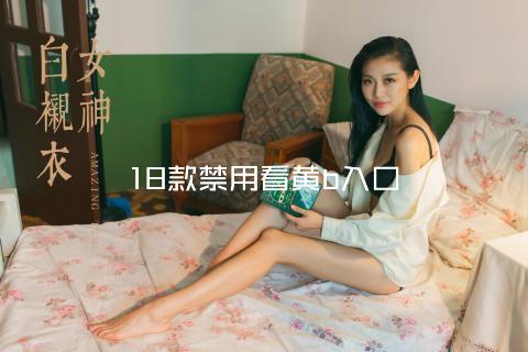 18款禁用看黄b入口